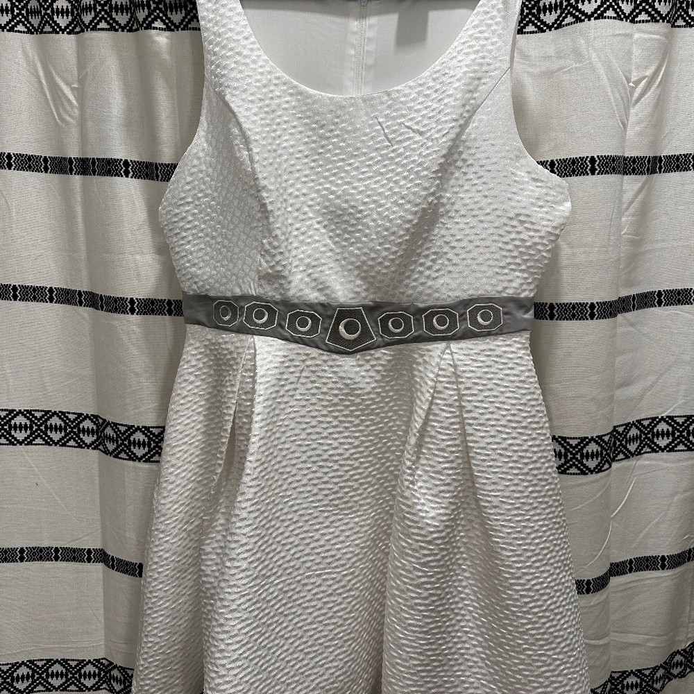 Her Universe Star Wars Princess Leia Dress Plus SIze